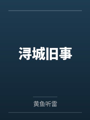 浔城旧事封面