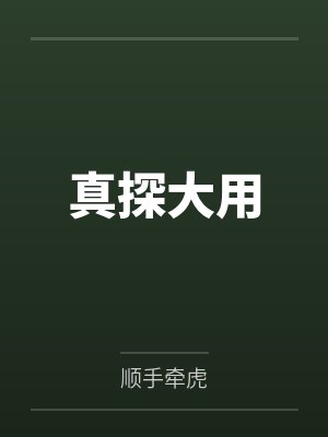 真探大用封面