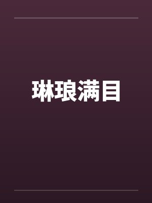琳琅满目封面