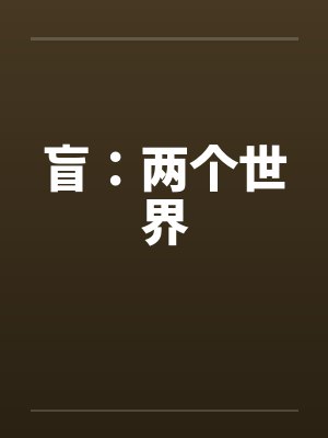 盲：两个世界封面