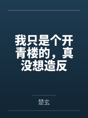 我只是个开青楼的，真没想造反封面
