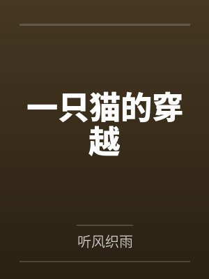 一只猫的穿越封面